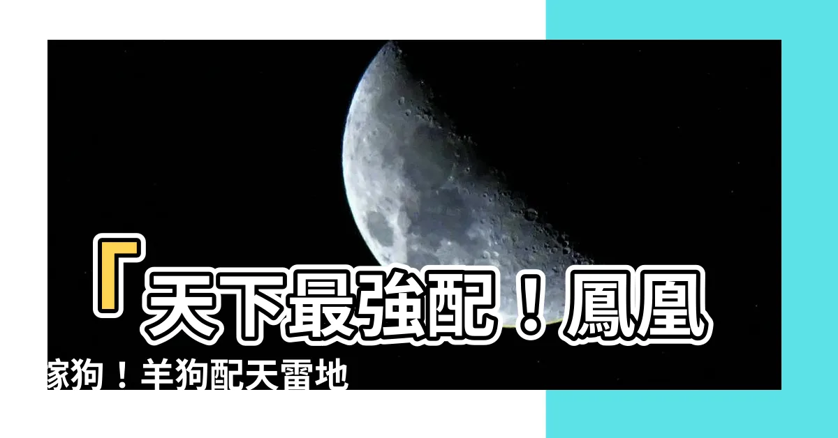 【羊狗配】「天下最強配！鳳凰嫁狗！羊狗配天雷地火，開創財富新時代！」