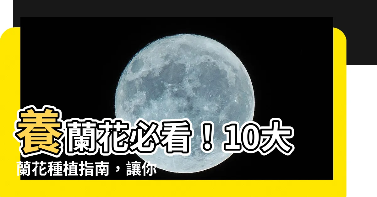 【養蘭花】養蘭花必看！10大蘭花種植指南，讓你養出美不勝收的花！