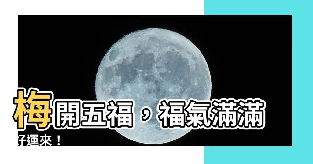 【梅開五福】梅開五福，福氣滿滿好運來！