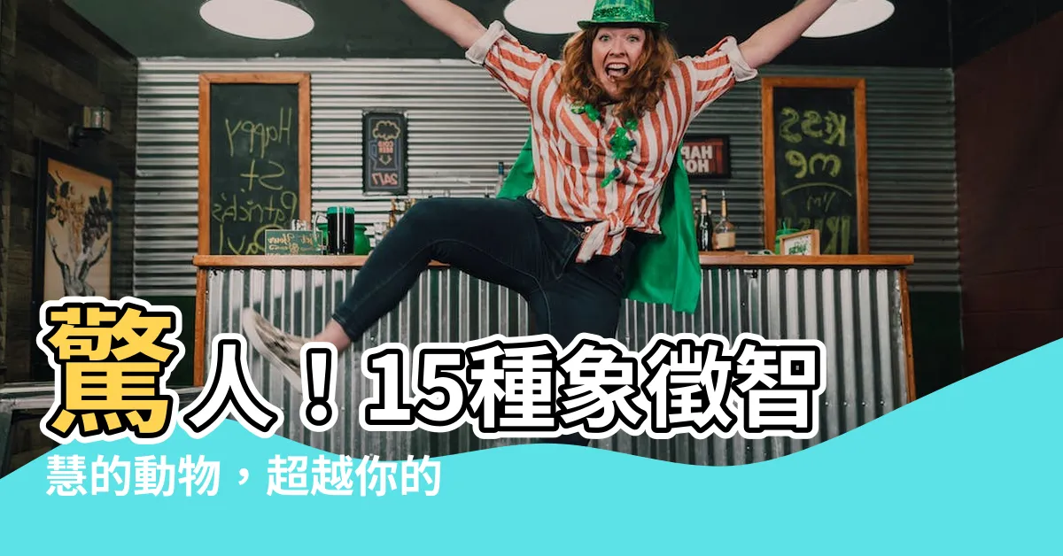 【象徵智慧的動物】驚人！15種象徵智慧的動物，超越你的想像！