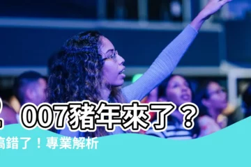 【2007天干地支】2007豬年來了？別搞錯了！專業解析2007天干地支
