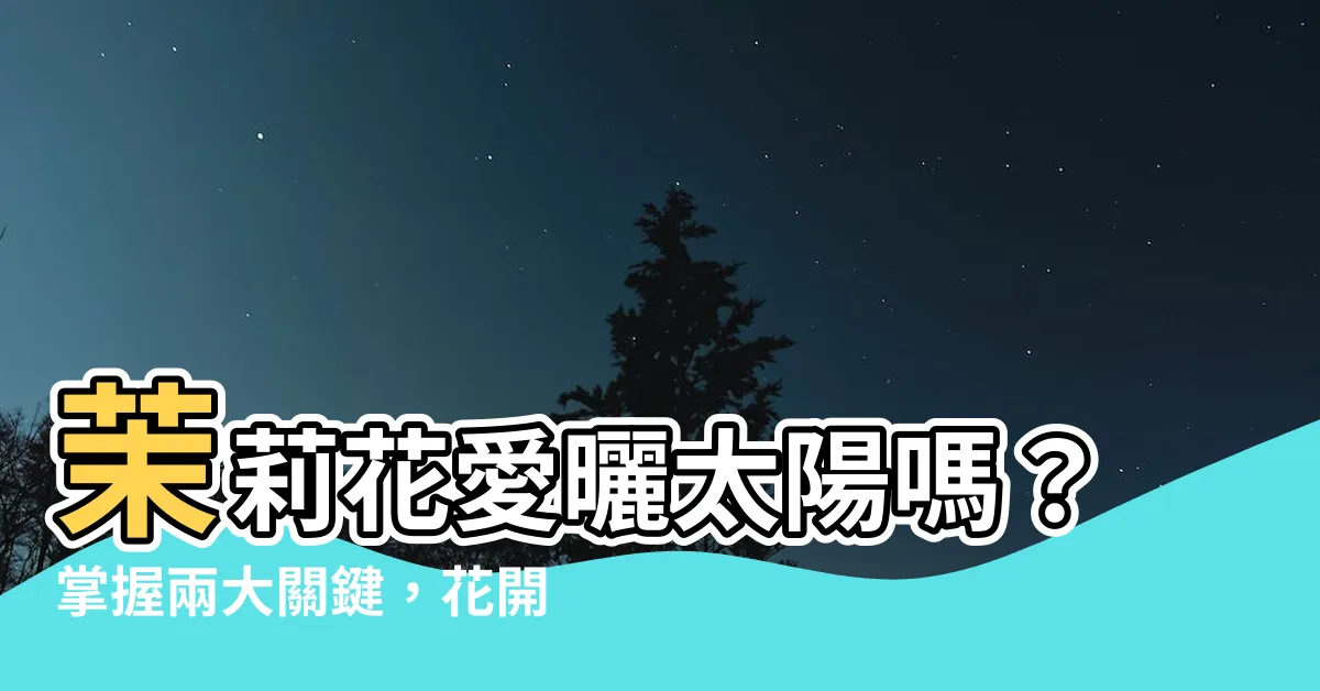 【茉莉花喜歡陽光嗎】茉莉花愛曬太陽嗎？掌握兩大關鍵，花開爆盆超簡單！