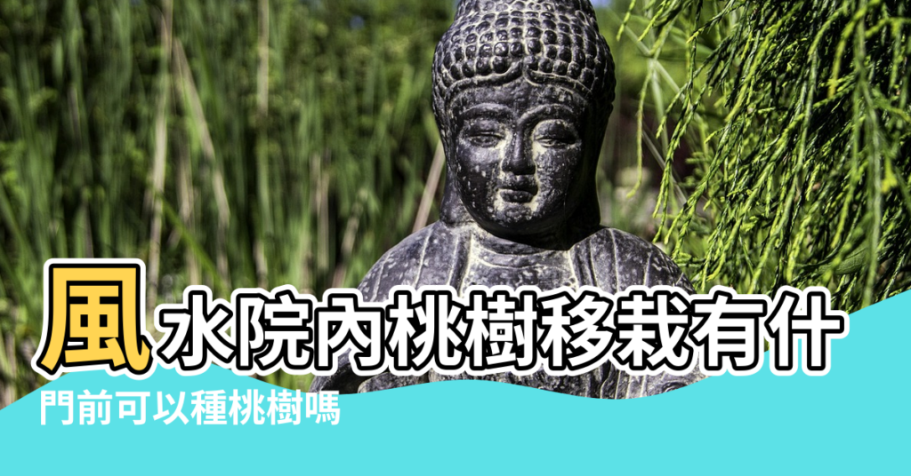 【風水院內桃樹移栽有什麼講究沒】風水院內桃樹移栽有什麼講究沒 |門前可以種桃樹嗎 |院子裡種桃樹好不好 |