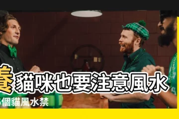 【養貓 風水】養貓咪也要注意風水?! 5個貓風水禁忌讓你財運滾滾來