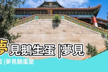 【夢見給別人兩個鵝蛋】夢見鵝生蛋 |夢見鵝蛋 |夢見鵝蛋是什麼預兆 |