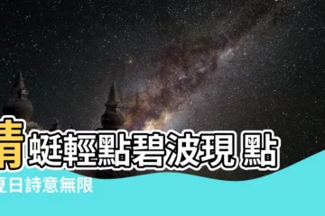 【蜻蜓點水】蜻蜓輕點碧波現 點出夏日詩意無限