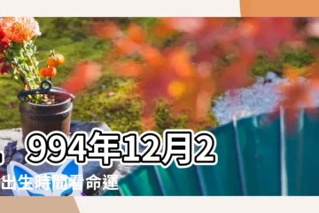 【1994年12月28日生日】1994年12月28日出生時間看命運 |屬什麼生肖 |國曆1994年12月28日是農曆幾月幾日 |