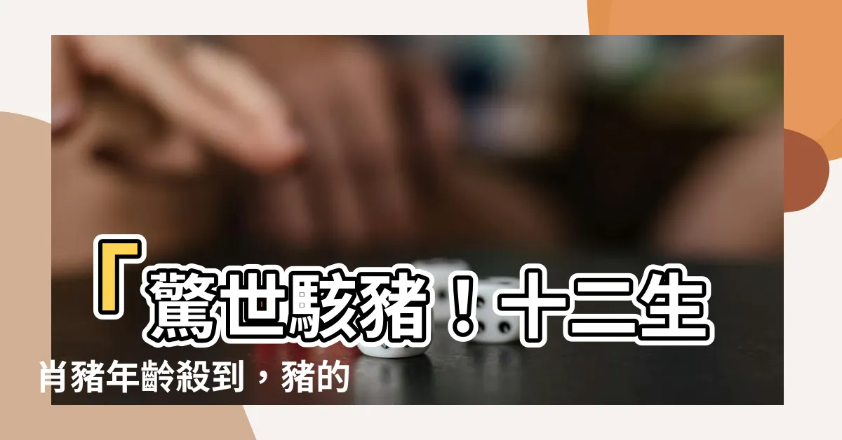 【十二生肖豬】「驚世駭豬！十二生肖豬年齡殺到，豬的性格特質大揭密」