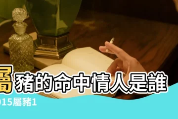 【2015年屬豬的獅子座情人】屬豬的命中情人是誰 |2015屬豬1971年12月26日辰時出生運程 |屬豬獅子座2015年後二十年運程 |