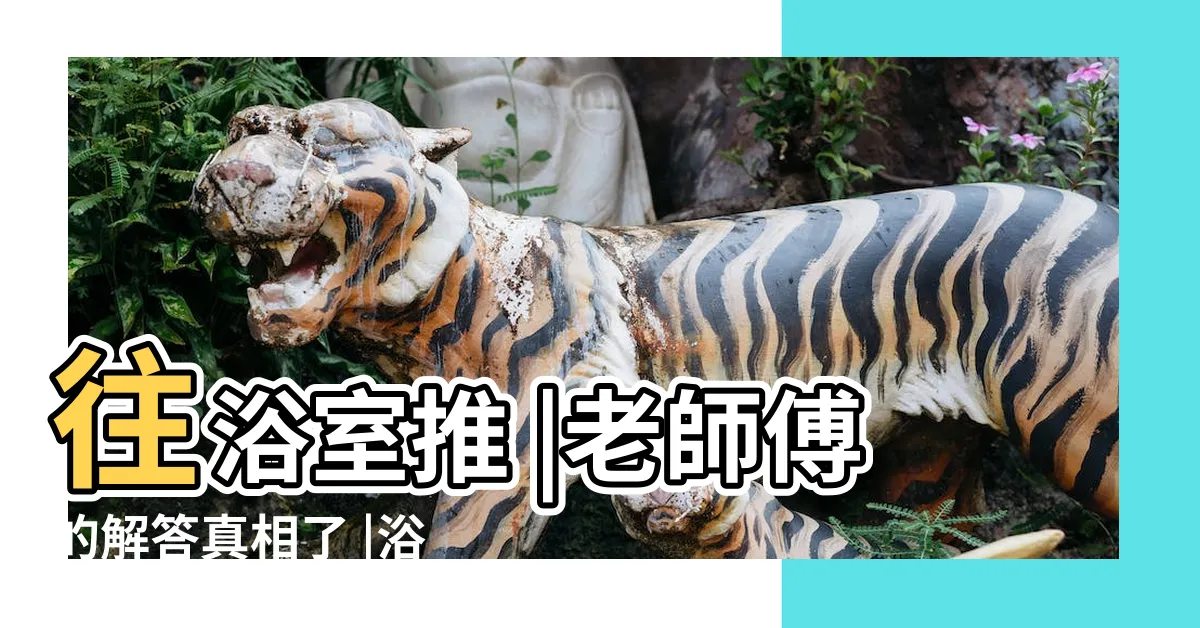 【廁所門外開】往浴室推 |老師傅的解答真相了 |浴室門的開門方向要怎裝才好 |