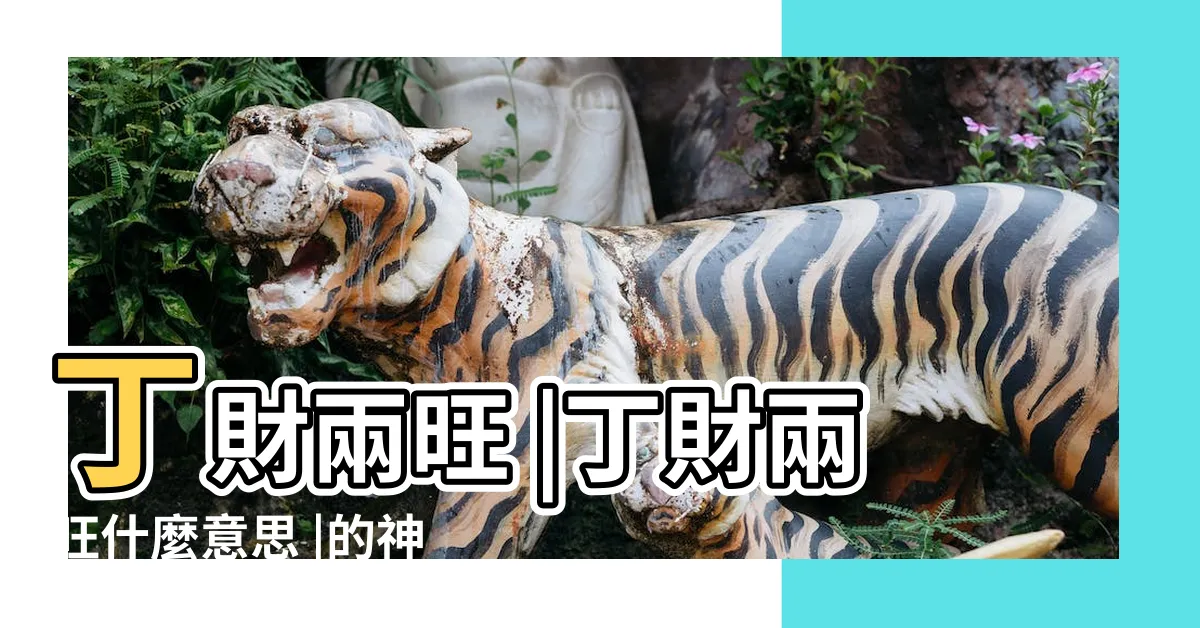 【丁財】丁財兩旺 |丁財兩旺什麼意思 |的神秘風水 |