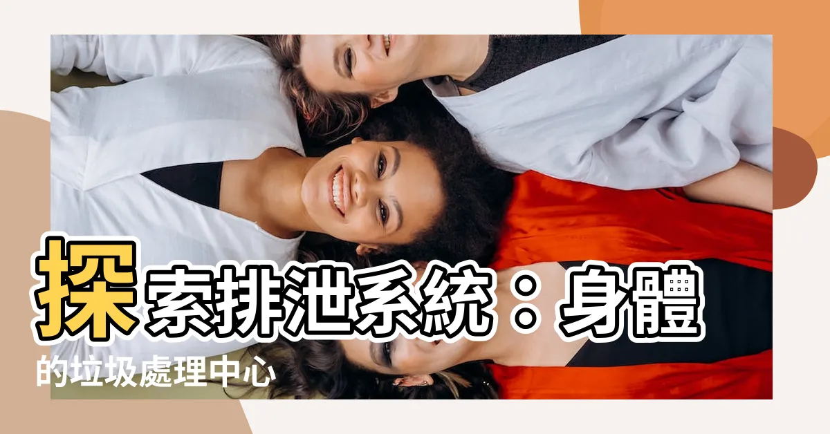 【排泄系統】探索排泄系統：身體的垃圾處理中心