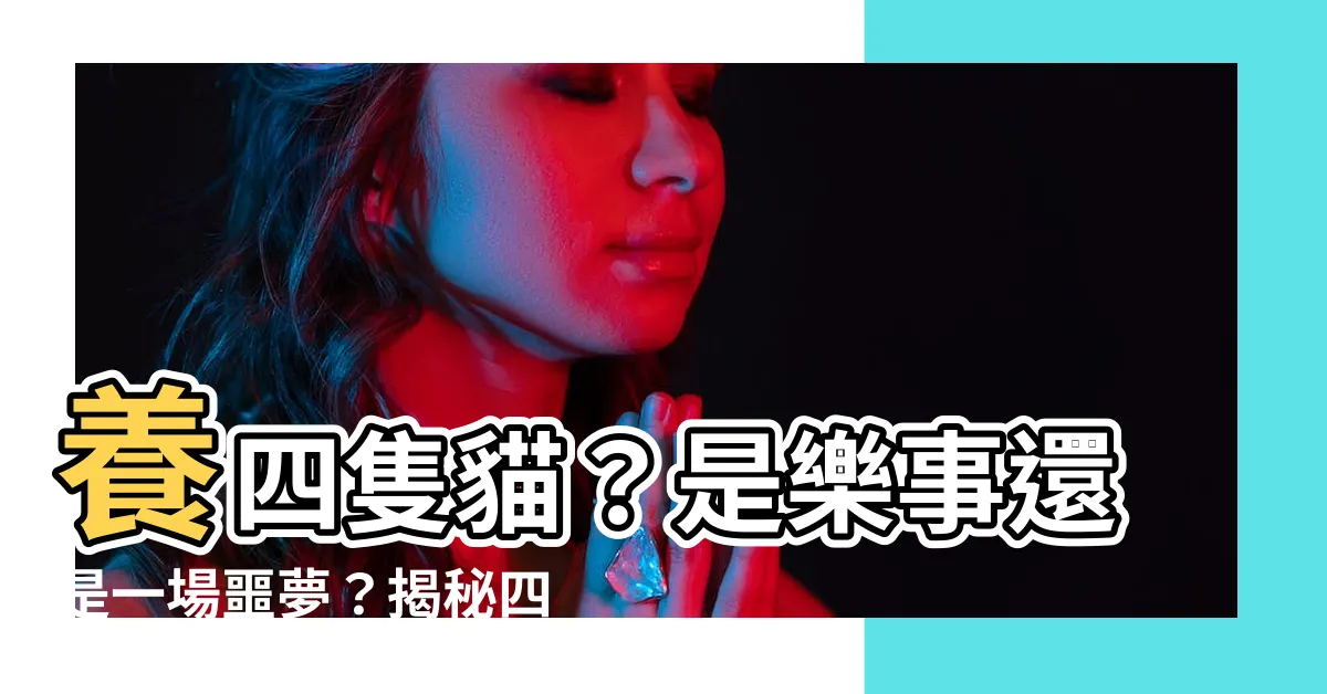 【養四隻貓】養四隻貓？是樂事還是一場噩夢？揭秘四貓家庭的生活之道
