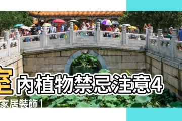 【家裏放假花風水好嗎】室內植物禁忌注意4點 |家居裝飾 |假花是地雷 |