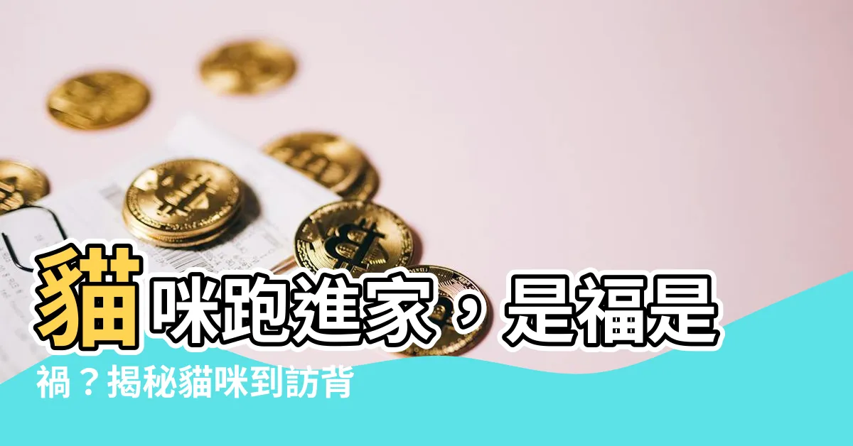 【貓跑進家裡】貓咪跑進家,是福是禍?揭秘貓咪到訪背後的吉兆和徵兆!