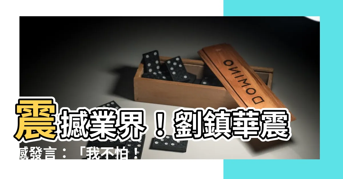 【劉鎮華】震撼業界！劉鎮華震撼發言：「我不怕！」
