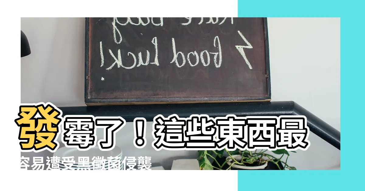 【什麼東西會發黴】發黴了！這些東西最容易遭受黑黴菌侵襲