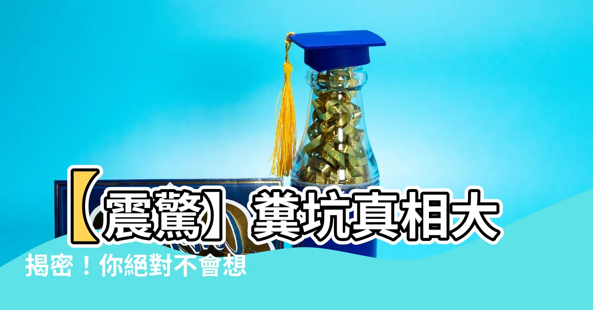 【糞坑】【震驚】糞坑真相大揭密！你絕對不會想到的事實！