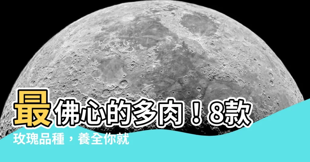【多肉 玫瑰】最佛心的多肉!8款玫瑰品種,養全你就是多肉大神