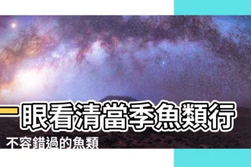 【魚類價格排行】一眼看清當季魚類行情！不容錯過的魚類價格排行榜