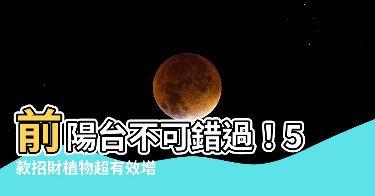 【前陽台 招財植物】前陽台不可錯過！5款招財植物超有效增加你的偏財運