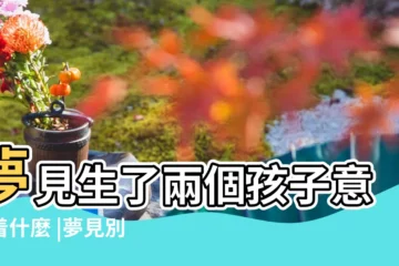 【夢見和兩個女人生孩子】夢見生了兩個孩子意味着什麼 |夢見別的女人生孩子 |夢見表妹生孩子了是什麼意思 |