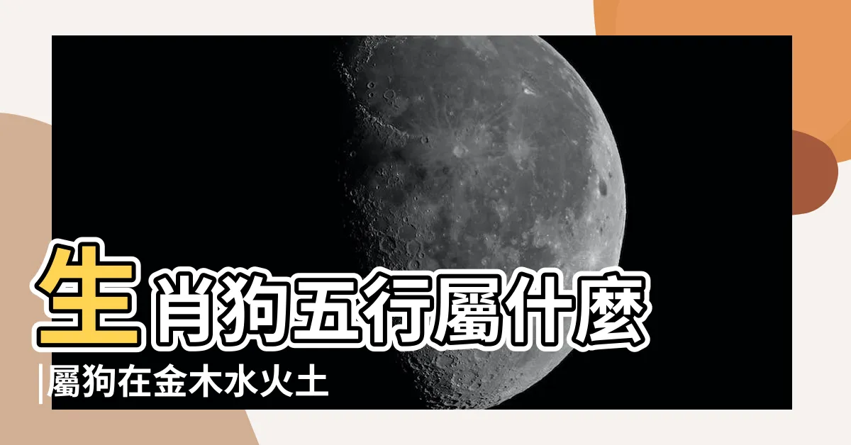 【屬狗五行屬什麼】生肖狗五行屬什麼 |屬狗在金木水火土五行裏屬什麼 |2006年屬狗的是什麼命五行屬什麼 |