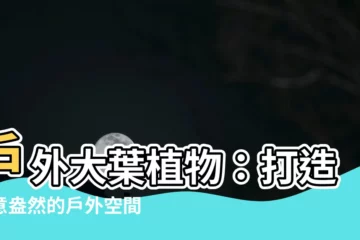 【大葉植物室外】户外大葉植物：打造綠意盎然的户外空間