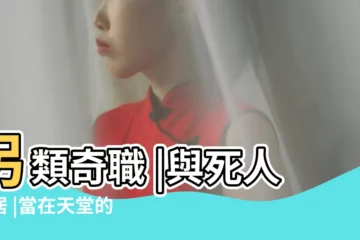 【2017年身邊死人多】另類奇職 |與死人同居 |當在天堂的朋友比人間的還多我要為 |
