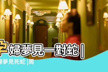 【孕婦夢見一條黑色死蛇】孕婦夢見一對蛇 |孕婦夢見死蛇 |周公解夢孕婦夢見黑蛇是什麼意思 |