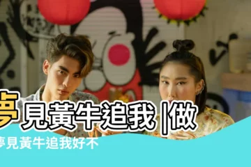 【夢見一隻黃牛追我】夢見黃牛追我 |做夢夢見黃牛追我好不好 |夢見一頭大黃牛 |
