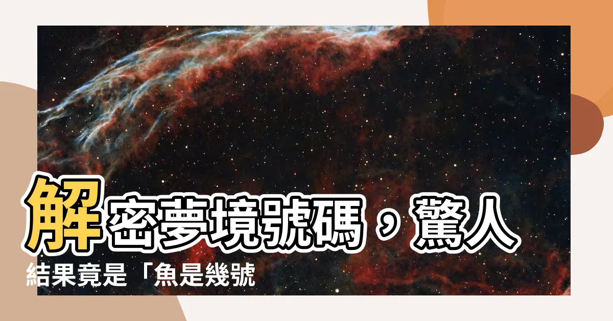 【魚是幾號】解密夢境號碼，驚人結果竟是「魚是幾號」！不可思議的真相揭曉！