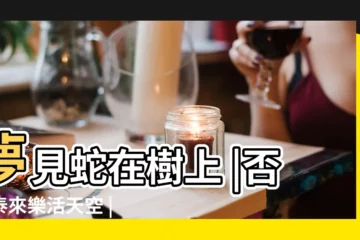 【夢見超大蛇在樹上追我】夢見蛇在樹上 |否極泰來樂活天空 |夢見蛇是發財的預兆 |