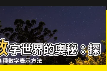 【數字表示方法】數字世界的奧秘：探索各種數字表示方法