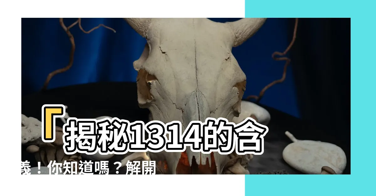 【1314 意思】「揭秘1314的含義！你知道嗎？解開這神秘數字的真相！」