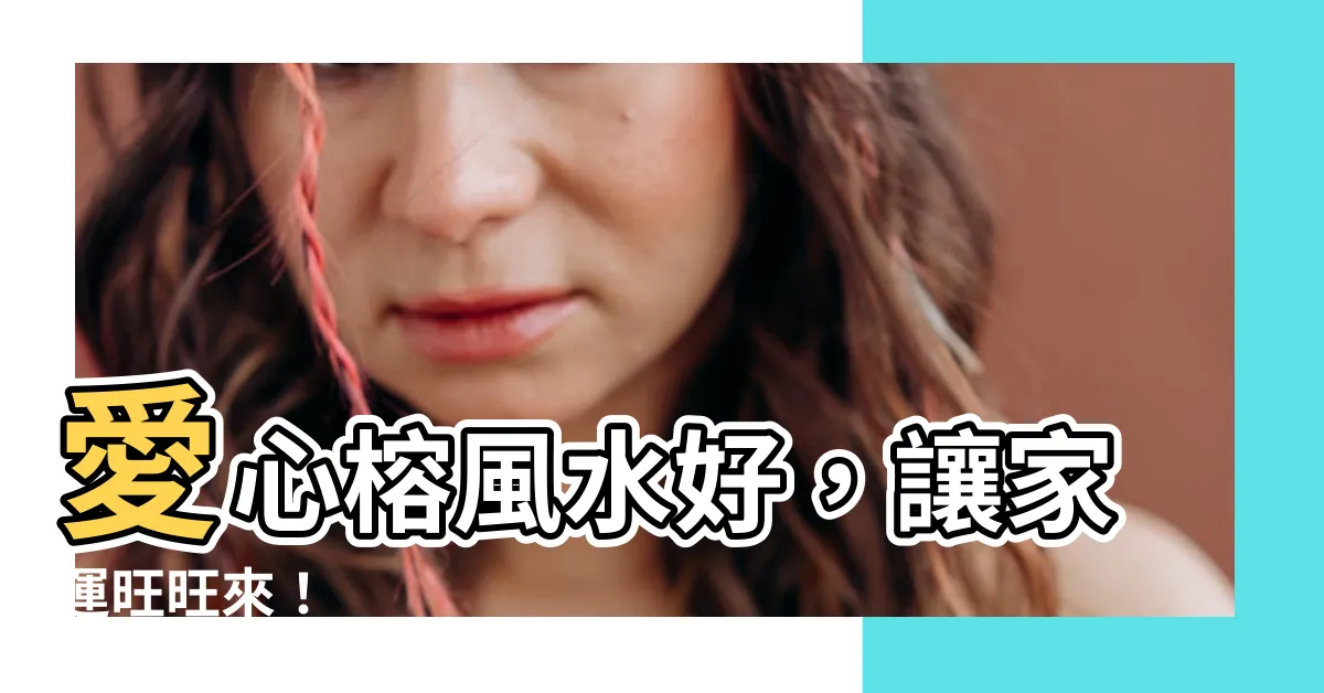 【愛心榕風水】愛心榕風水好，讓家運旺旺來！