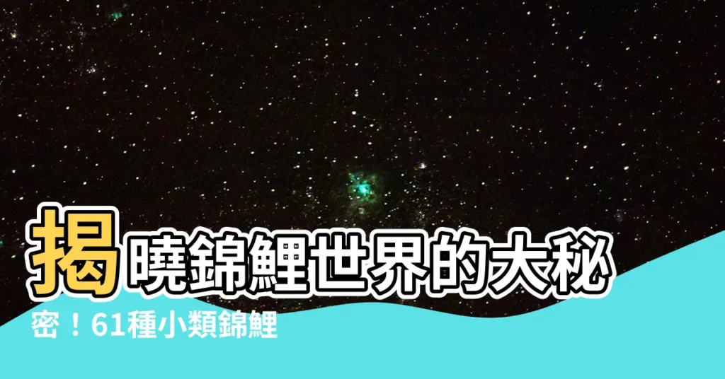 【錦鯉 種類】揭曉錦鯉世界的大秘密！61種小類錦鯉種類，你認識幾個？
