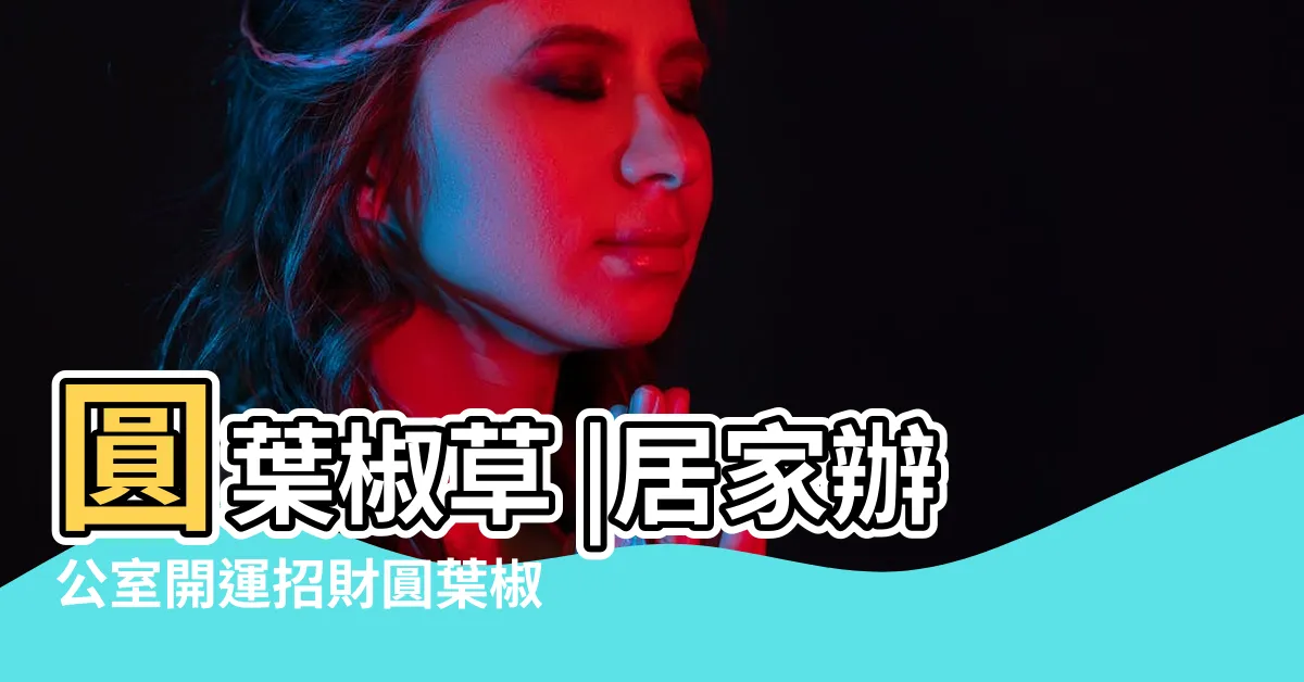 【圓葉金錢樹風水】圓葉椒草 |居家辦公室開運招財圓葉椒草盆栽 |