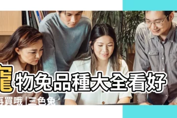 【什麼顏色的兔子好看嗎】寵物兔品種大全看好了再買哦 |三色兔子 |兔子什麼顏色比較好看 |