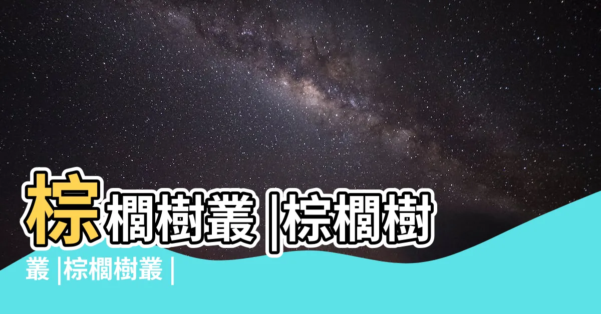 【棕櫚樹叢】棕櫚樹叢 |棕櫚樹叢 |棕櫚樹叢 |