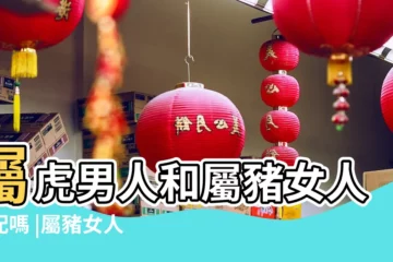 【屬虎男人和屬豬女人】屬虎男人和屬豬女人相配嗎 |屬豬女人和屬虎男人怎麼樣 |屬豬女和屬虎男婚姻相配嗎為什麼會説豬和虎相剋 |