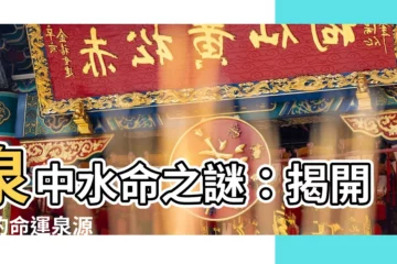 【泉中水命】泉中水命之謎：揭開你的命運泉源