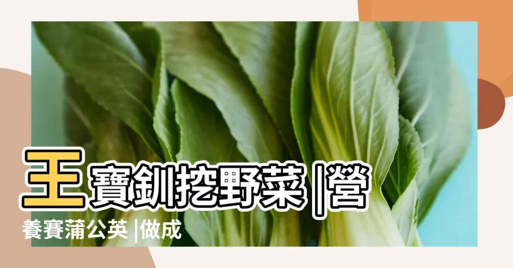 王寶釧挖野菜 |營養賽蒲公英 |做成鹹菜是一絕 |【野菜代表的寓意】