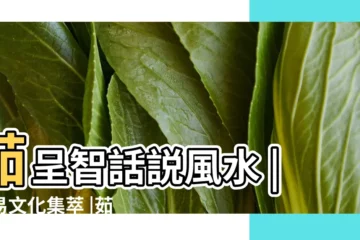 【茹呈智話説風水-周易文化集萃】茹呈智話説風水 |周易文化集萃 |茹呈智話説風水 |