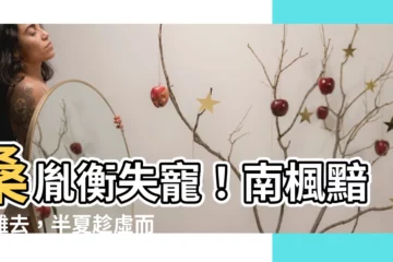 【桑胤衡南楓半夏】桑胤衡失寵！南楓黯然離去，半夏趁虛而入