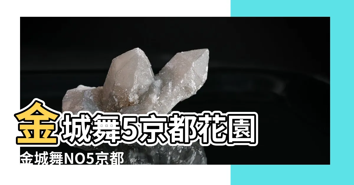 【金城舞5格局】金城舞5京都花園 |金城舞NO5京都花園 |世界花園 |