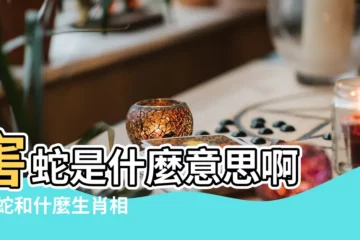 【屬蛇刑衝害屬相是什麼意思】害蛇是什麼意思啊 |屬蛇和什麼生肖相害相合相刑相沖 |屬相相刑 |