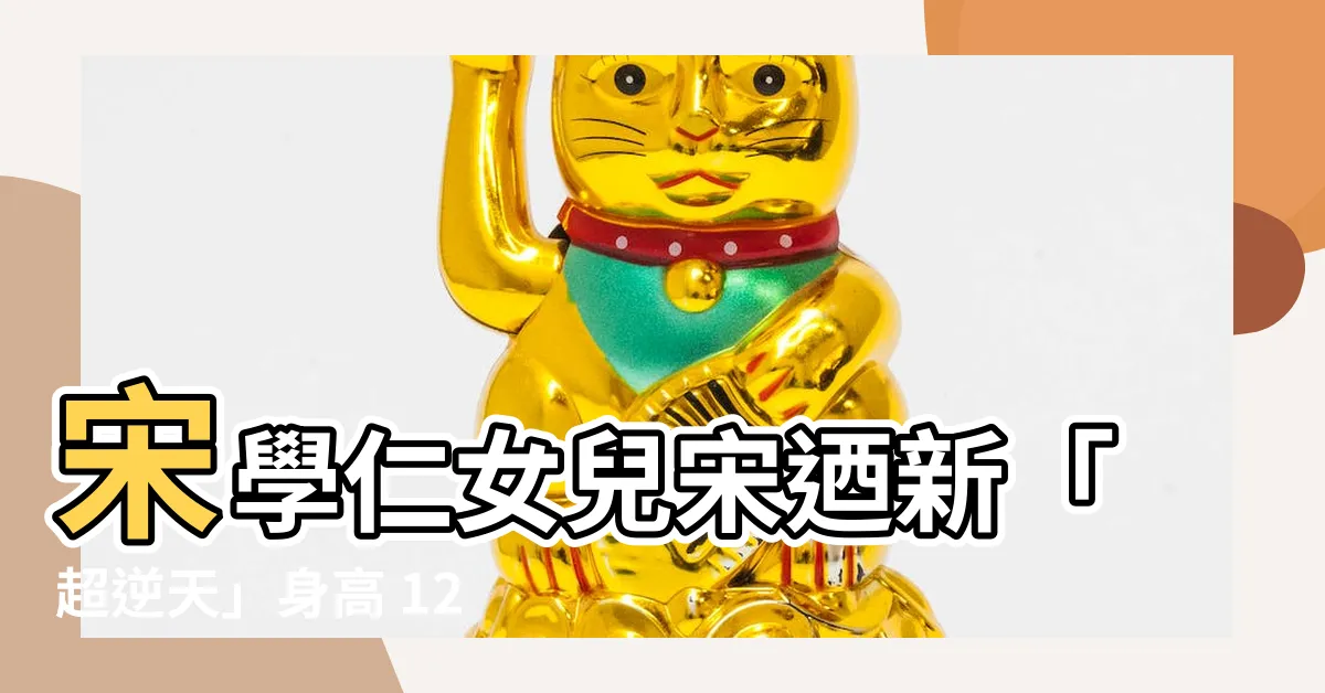 【宋迺新身高】宋學仁女兒宋迺新「超逆天」身高 12歲長超過180公分！