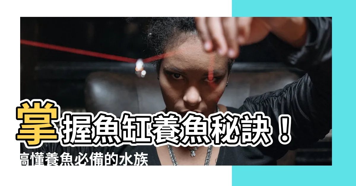 【養魚需要什麼】掌握魚缸養魚秘訣！搞懂養魚必備的水族用品清單