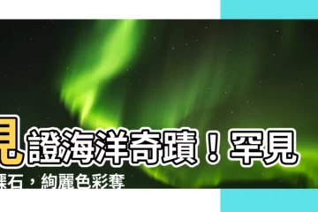 【硨磲石】見證海洋奇蹟!罕見硨磲石,絢麗色彩奪人心魄